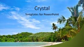  Presentation with palm beach - Beautiful slide deck featuring beach with coconut palm tree backdrop and a  colored foreground