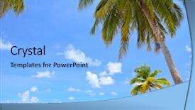  Presentation with summer trees - PPT theme featuring beach with coconut palm tree background and a light blue colored foreground