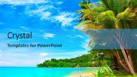  Presentation with summer trees - Slide deck enhanced with beach with coconut palm tree background and a cyan colored foreground