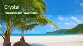  Presentation with palm beach - Amazing PPT theme having beach with coconut palm tree backdrop and a tawny brown colored foreground