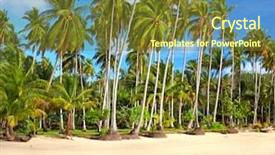  Presentation with palm beach - Colorful theme enhanced with beach with coconut palm tree backdrop and a tawny brown colored foreground