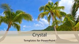  Presentation with coconut tree - Presentation theme having beach with coconut palm tree background and a lemonade colored foreground