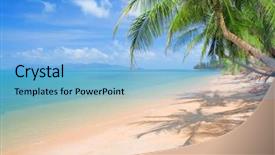  Presentation with palm beach - Presentation having beach with coconut palm background and a light blue colored foreground