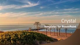  Presentation with palm beach - Colorful presentation theme enhanced with beach-with-palm-trees backdrop and a coral colored foreground