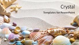  Presentation with starfish - PPT theme having beach with starfish and seashells background and a sky blue colored foreground