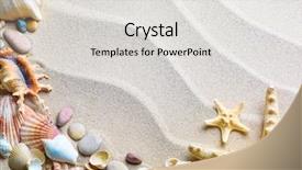  Presentation with starfish - Audience pleasing slides consisting of beach with starfish and seashells backdrop and a light gray colored foreground
