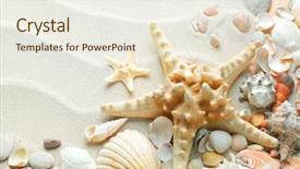  Presentation with pearls and starfish - Cool new theme with beach with starfish and seashells backdrop and a  colored foreground