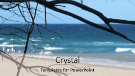  Presentation with beach palm tree wedding - Slide deck having beach with tree branch silouhette background and a  colored foreground