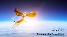  Presentation with beagle dog - Audience pleasing slides consisting of beagle-dog-having-fun-mixed backdrop and a light blue colored foreground