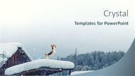  Presentation with beagle dog - Audience pleasing slide set consisting of beagle dog playing in snow mixed media backdrop and a sky blue colored foreground