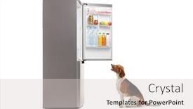  Presentation with fridge - Colorful slide set enhanced with beagle-dog-sitting-in-front backdrop and a light gray colored foreground
