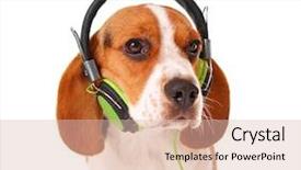  Presentation with beagle dog - PPT theme with beagle dog wearing headphones isolated background and a  colored foreground