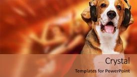  Presentation with beagle dog - Cool new theme with beagle dog wearing headphones backdrop and a coral colored foreground