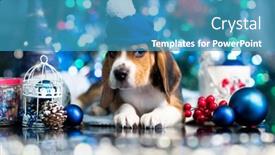  Presentation with decor - Presentation theme having beagle-puppy-in-a-blue background and a teal colored foreground