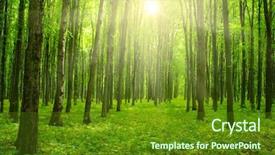  Presentation with abstract green forest - PPT layouts with beam in a green forest background and a tawny brown colored foreground