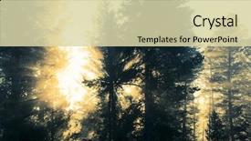  Presentation with sun rise - PPT theme enhanced with beaming through silhouetted pine tree background and a soft green colored foreground