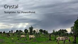  Presentation with horses - Theme featuring beamriding - landscape with horses eating background and a light blue colored foreground