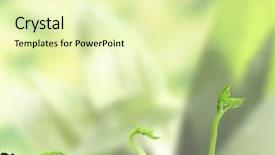  Presentation with seed germination - Colorful PPT layouts enhanced with bean seed germination different stages backdrop and a soft green colored foreground