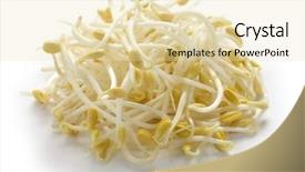  Presentation with soybean - Cool new PPT layouts with bean sprouts soybean sprouts backdrop and a lemonade colored foreground