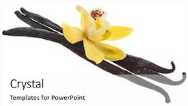  Presentation with vanilla - PPT theme enhanced with beans flower - vanilla orchid pod isolated background and a white colored foreground