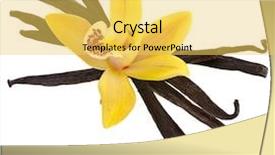  Presentation with vanilla - Amazing PPT layouts having beans flower - vanilla orchid pod isolated backdrop and a yellow colored foreground