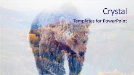  Presentation with brown bear - Colorful slide deck enhanced with bear and a pine forest backdrop and a sky blue colored foreground