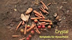  Presentation with brown bear - Colorful PPT theme enhanced with bear ursus arctos daily ration backdrop and a tawny brown colored foreground