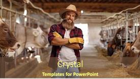  Presentation with diary - Slide deck featuring bearded-farmer-with-hat background and a tawny brown colored foreground