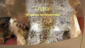  Presentation with trophy - Slide deck featuring stuffed animal pig - bearskin trophy in caucasian mountains background and a violet colored foreground