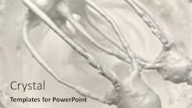  Presentation with mix of cabbages on white - PPT layouts having beaten-egg-white-whipped-cream background and a soft green colored foreground