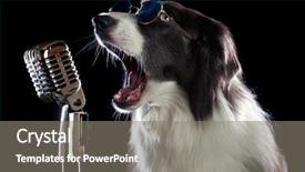  Presentation with music border - Colorful slide deck enhanced with beatiful border collie dog singing backdrop and a gray colored foreground
