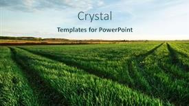  Presentation with green morning - Slides with beatiful-morning-green-field background and a sky blue colored foreground