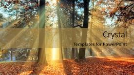  Presentation with autumn morning - Beautiful slides featuring beatifull morning sunrays in late backdrop and a gold colored foreground