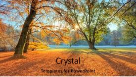  Presentation with autumn morning - Slides having beatifull morning sunrays in late background and a red colored foreground