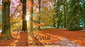  Presentation with forest morning - Amazing PPT layouts having beatifull morning sunrays in late backdrop and a red colored foreground