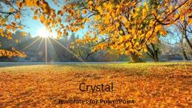  Presentation with forest morning - Cool new presentation theme with beatifull morning sunrays in late backdrop and a gold colored foreground