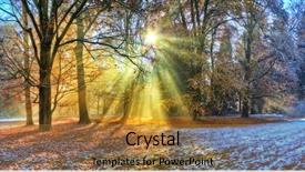  Presentation with forest morning - Colorful PPT theme enhanced with beatifull morning sunrays in winter backdrop and a red colored foreground