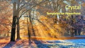  Presentation with forest morning - Audience pleasing presentation theme consisting of beatifull morning sunrays in winter backdrop and a violet colored foreground