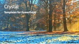  Presentation with forest morning - Audience pleasing theme consisting of beatifull morning sunrays in winter backdrop and a gray colored foreground