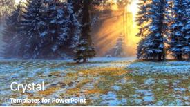  Presentation with forest morning - Theme enhanced with beatifull morning sunrays in winter background and a gray colored foreground