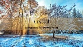  Presentation with forest morning - Presentation theme having beatifull morning sunrays in winter background and a yellow colored foreground