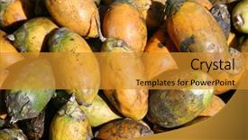  Presentation with market at jaisalmer india - PPT layouts having beatles - beetlenuts on display at market background and a gold colored foreground