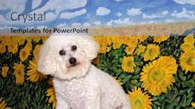  Presentation with literature paintings - Cool new slide set with beau-a-bichon-frise-sits backdrop and a light blue colored foreground
