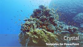  Presentation with tropical top view summer botanical - PPT layouts featuring beautifiul-underwater-view-with-tropical background and a tawny brown colored foreground