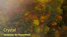  Presentation with forest morning - PPT theme featuring beautiful-aerial-view-of-morning background and a tawny brown colored foreground