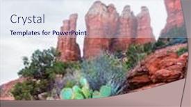  Presentation with sprout - Colorful presentation design enhanced with beautiful-agave-plant-sprout backdrop and a sky blue colored foreground