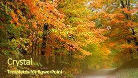  Presentation with time - Beautiful slides featuring beautiful alley in colorful autumn backdrop and a tawny brown colored foreground