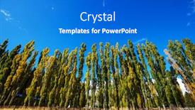  Presentation with fall season - Presentation featuring beautiful-alley-in-fall-season background and a cobalt blue colored foreground