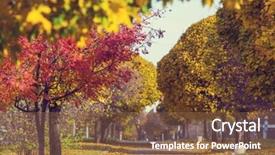  Presentation with fall season - PPT theme consisting of beautiful alley in fall season in the city with yellow colored trees background and a tawny brown colored foreground