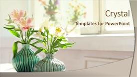  Presentation with flowers - Cool new slides with beautiful alstroemeria flowers in aquamarine backdrop and a cream colored foreground